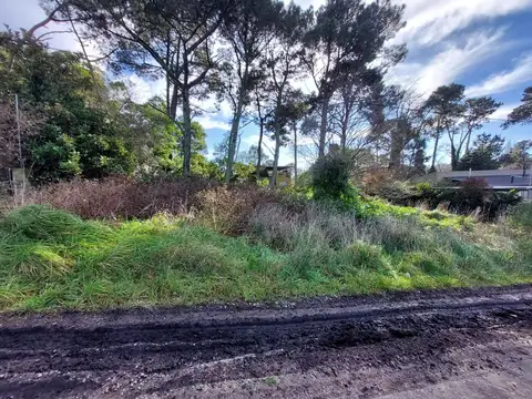 Terreno en Venta de 779,0 m2