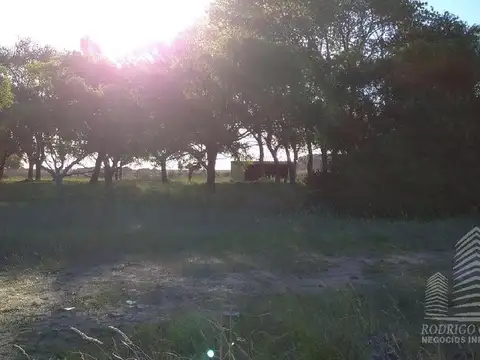 Terreno en Venta en Las Toninas, USD 100.000