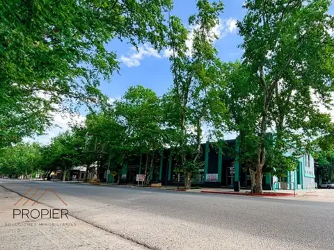 Local en Venta en Colonia Caroya, USD 1.500.000