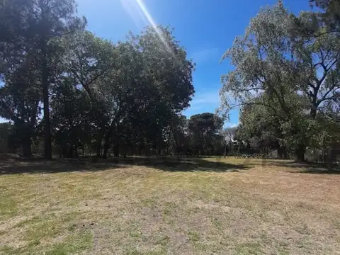 Lote en venta en Villa Elisa.