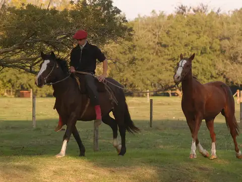 Terreno en Venta en Estancia Benquerencia Farm Club, USD 120.000