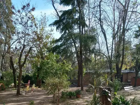 Departamento en Venta 50 años