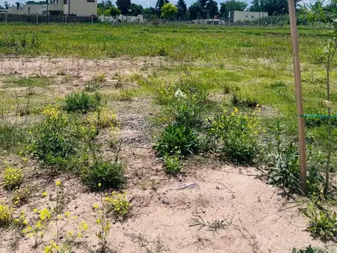 Terreno en Venta de 600,0 m2