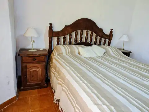 Estrella de mar al 300