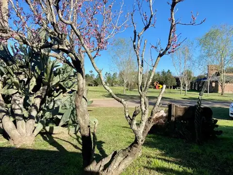 Casa en Venta 13 años