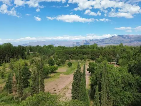 Callejón de la Virgen
