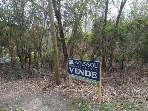 Isla Libertad (Lotes internos)