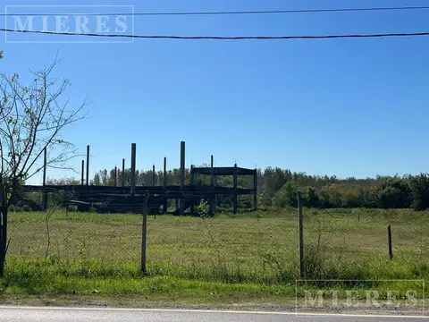 Terreno Apto para desarrollo residencial sobre Av, Italia, Villanueva.