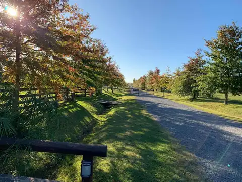 Terreno en Venta 25  mts Frente