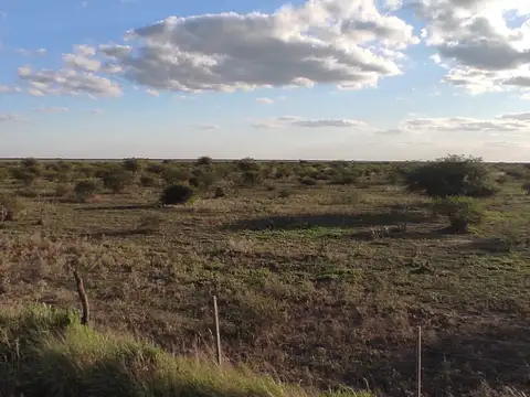 CAMPO MIXTO 575 HAS EN SANTIAGO DEL ESTERO