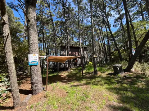 Calle 43 entre Punta del Este y Calle 1