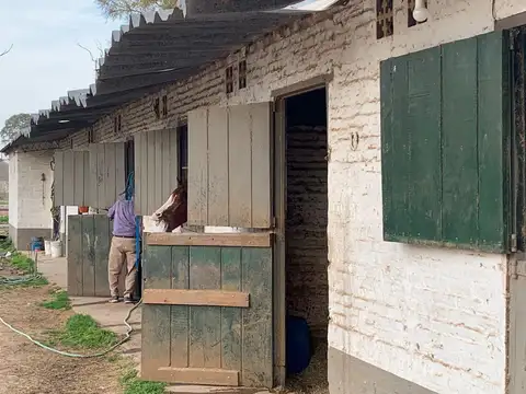 Manuel Quintana al 1100