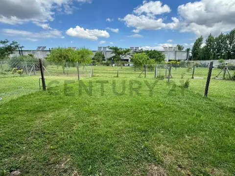 Decs Tortugas, Los Lobos 700, Piso 0