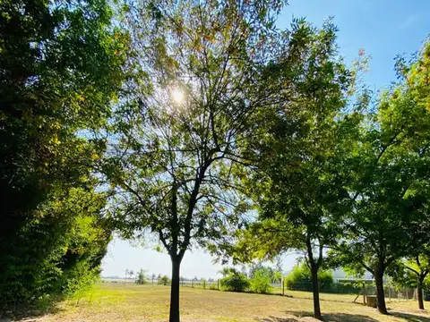 Boulevard de Todos los Santos, Puerta 3 5600