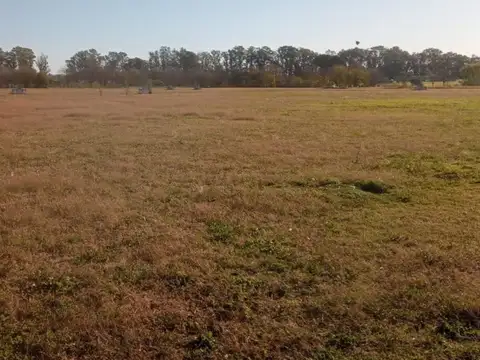 Terreno en Venta en Santa Ines, USD 42.000