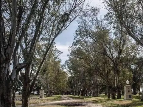 Terreno en Venta de 872,0 m2