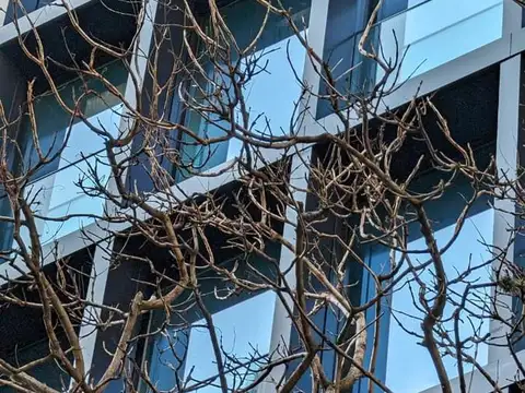 Virrey arredondo al 2400