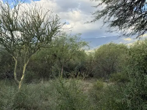 Terreno en Venta 70  mts Fondo