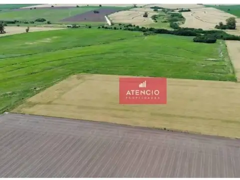 Campo De 11,2 Has (rincon Del Doll) Con  Costa Sobre Arroyo