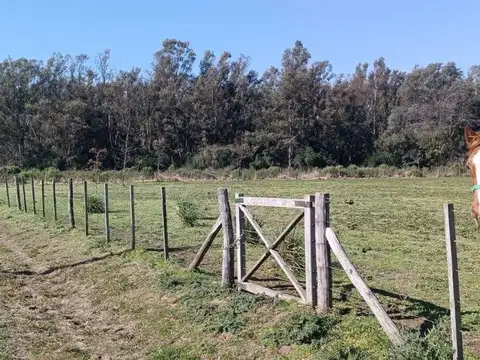 Venta Lote 2 hectareas El Aduar Bosque y Campo