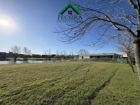 Terreno en Venta 44  mts Fondo