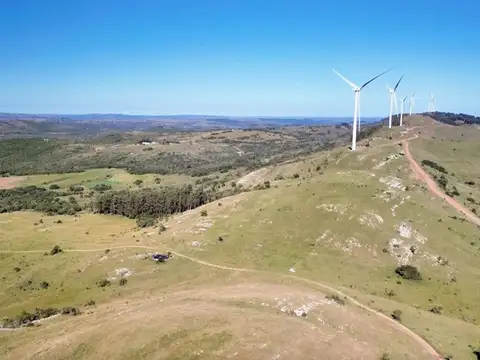 Venta campo ganadero forestal Maldonado Lavalleja