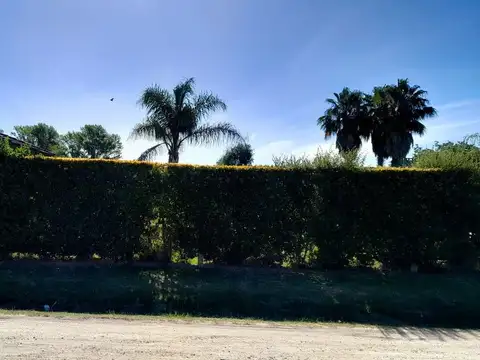 CAPELLAN M. CALDERON Y NEUQUEN 100