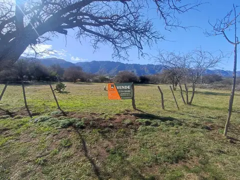 Lotes en Cortaderas en esquina con servicios