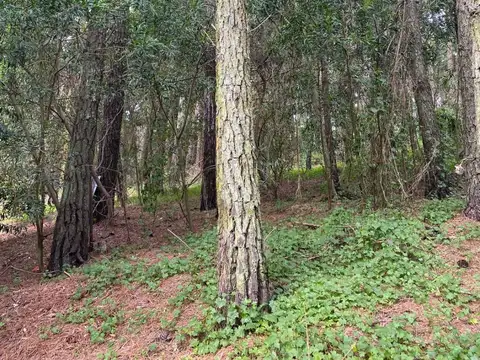 Terreno en Venta de 450,0 m2