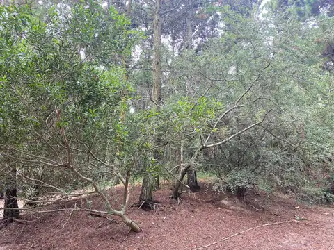 Terreno en Venta en Alfalad, USD 42.000