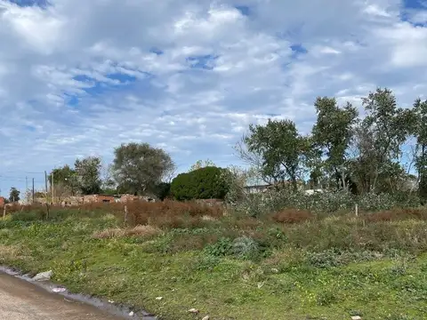 terreno sobre 89 entre 66 y 64