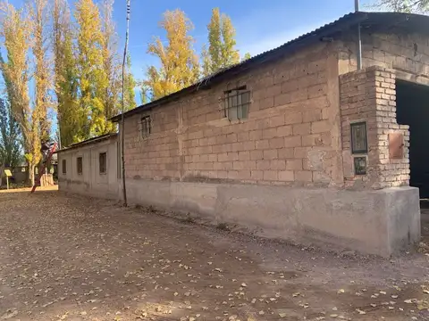 FINCA EN VENTA CORRALITOS, EN PRODUCCION