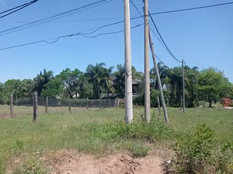 Los Nandubay y Camelias