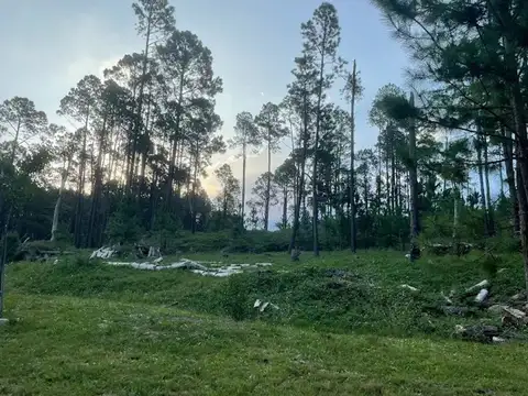 VENTA LOTE YACANTO DE CALAMUCHITA 6820 M2