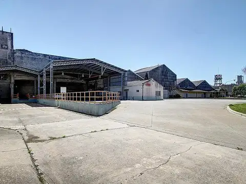 Galpon en Alquiler A Estrenar