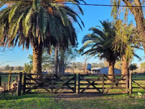 Terreno Campo  en Venta en Parada Robles, Exaltación de la Cruz