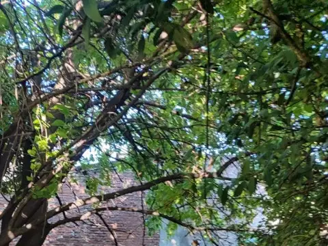 Terreno en Venta 8,66  mts Frente