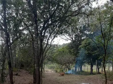 Terreno en Venta 40  mts Fondo