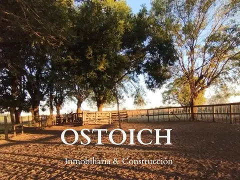 77 has, Santa Lucía