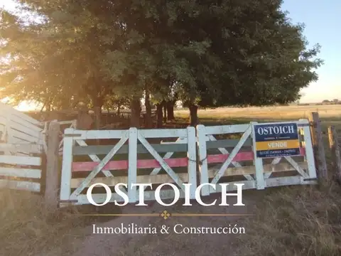 77 HAS EN VENTA - Santa Lucía