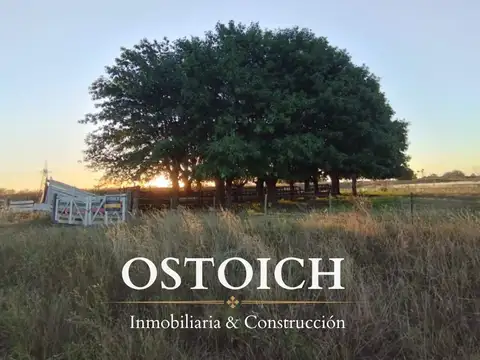 77 HAS EN VENTA - Santa Lucía