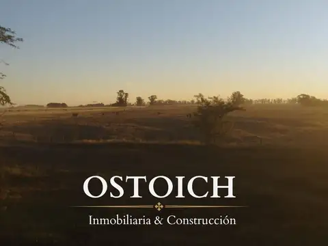 77 has, Santa Lucía