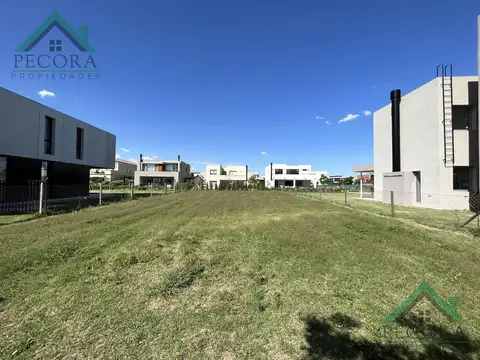 Lote - Puertos del lago - Interno - Araucarias - Lote 294