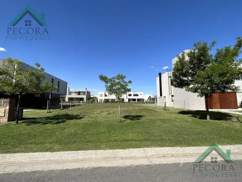 Terreno en Venta 34  mts Fondo