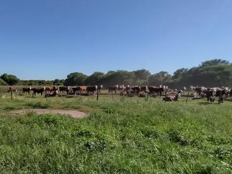 Campo en venta - 6.056 Hectáreas - San Justo