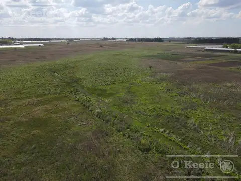 Chacra Hortícola en Venta - La Plata 3.6  has