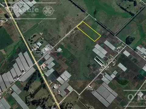 Chacra Hortícola en Venta - La Plata 3.6  has