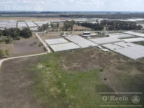 CHACRA HORTICOLA DE 3,6  ha EN VENTA