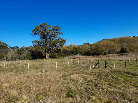 Terreno en Venta 51  mts Fondo