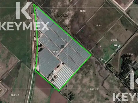 FRACCION 10 Has  ingreso  por  Av 137  y 604